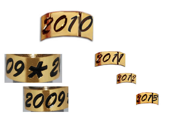 20092013.jpg