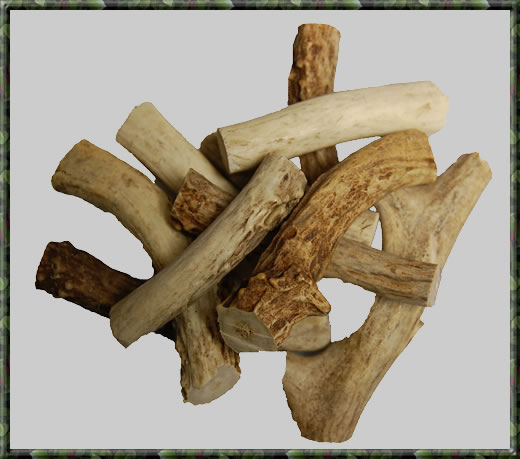 DeerAntler1.jpg
