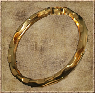 Gold Keyring Hoop (5 Pack)