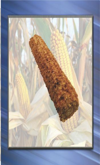 Stabilized Corn Cob